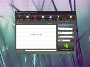 LetsFun FLV Converter screenshot