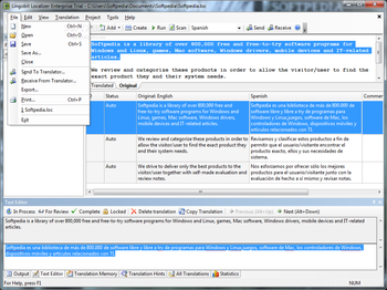 Lingobit Localizer Enterprise screenshot 3