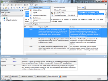 Lingobit Localizer Enterprise screenshot 5