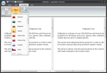 LingoEditor screenshot 3