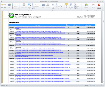 Link Reporter screenshot 4