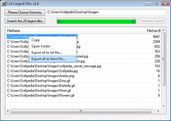 List Largest Files screenshot