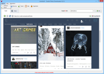 LitchiSoft - Tumblr Photo Downloader screenshot 2