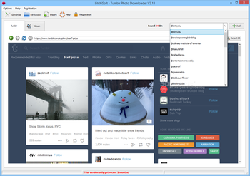 LitchiSoft - Tumblr Photo Downloader screenshot 3