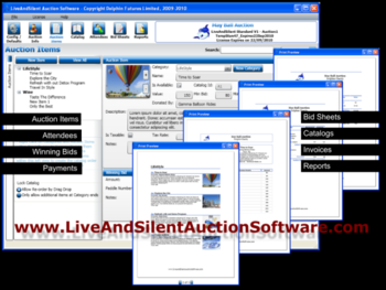 Live And Silent Auction Software screenshot