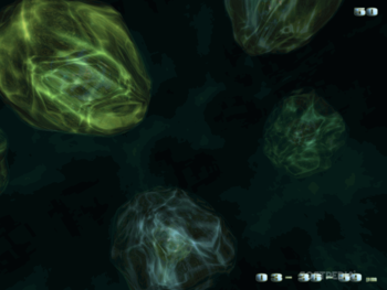 Living Cell 3D Screensaver screenshot