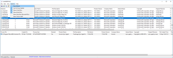 LoadedDllsView screenshot 3