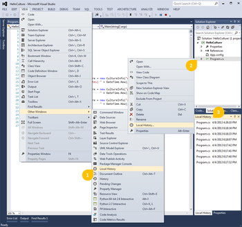 Local History for Visual Studio screenshot