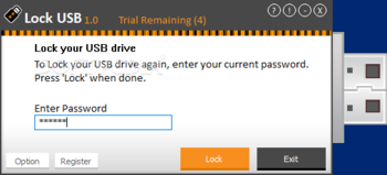 Lock USB screenshot 4