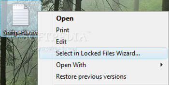 Locked Files Wizard screenshot