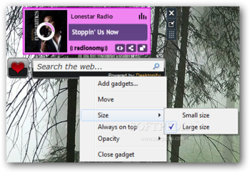 Lonestar Radio screenshot 3