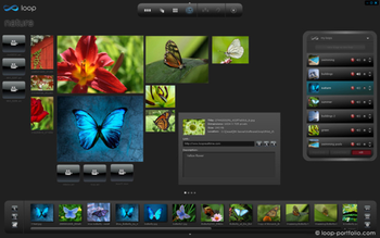 Loop Interactive Portfolio screenshot