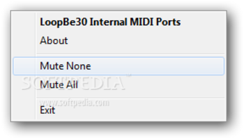 LoopBe30 screenshot 2