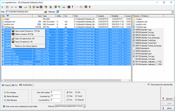 LupasRename screenshot 3