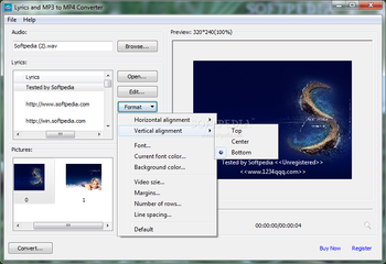 Lyrics and MP3 to MP4 Converter screenshot 2