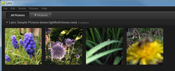 Lytro for Windows screenshot
