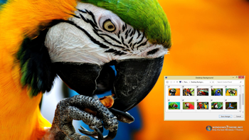 Macaw Windows 7 Theme screenshot