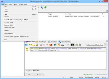 Macro ToolWorks Professional Edition screenshot 5