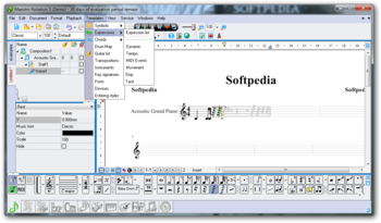 Maestro Notation screenshot 6