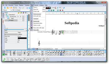 Maestro Notation screenshot 7