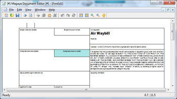 Magaya Document Editor screenshot