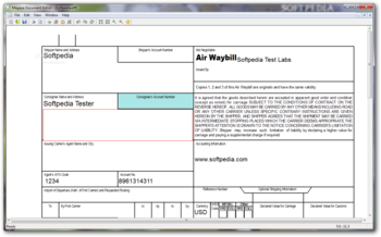 Magaya Document Editor screenshot