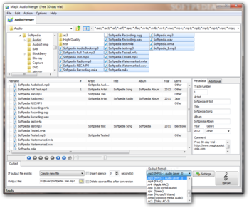 Magic Audio Merger screenshot 2