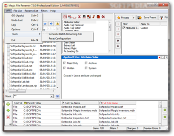 Magic File Renamer Professional Edition screenshot 2