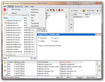 Magic File Renamer Professional Edition screenshot 3