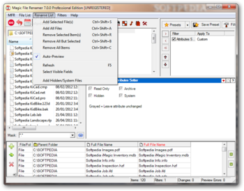 Magic File Renamer Professional Edition screenshot 4
