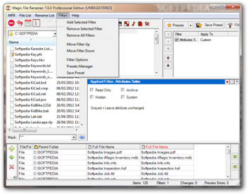 Magic File Renamer Professional Edition screenshot 5