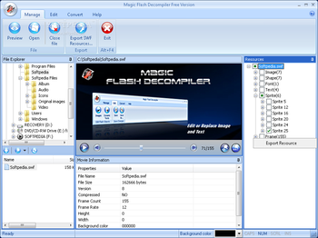 Magic Flash Decompiler screenshot