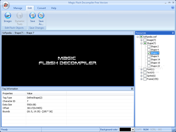 Magic Flash Decompiler screenshot 2