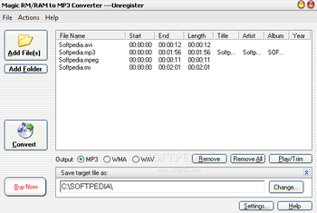 Magic RM to MP3 Converter screenshot