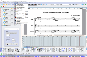 MagicScore Guitar screenshot 6