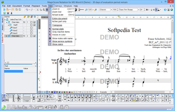 MagicScore Notation for MS Word screenshot 10