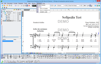 MagicScore Notation for MS Word screenshot 12