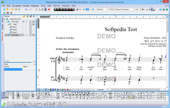 MagicScore Notation for MS Word screenshot 2