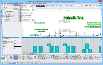 MagicScore Notation for MS Word screenshot 7