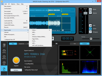 MAGIX Audio Cleaning Lab screenshot 8
