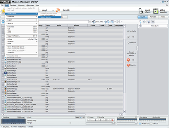 MAGIX Music Manager 2007 screenshot 2