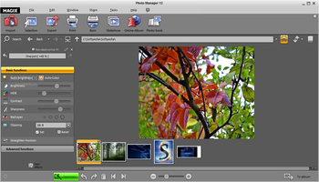 MAGIX Photo Manager screenshot 11