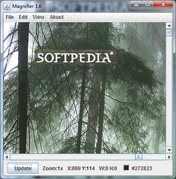 Magnifier screenshot