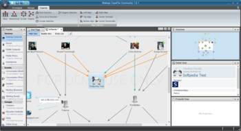 Maltego CaseFile Community screenshot 3