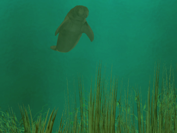 Manatee Cove screenshot