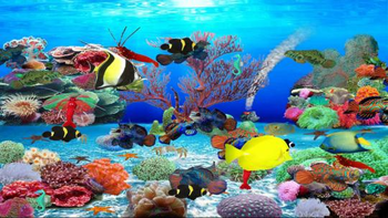Mandarin Fish Aquarium screenshot