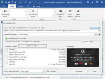 ManyDownloader screenshot