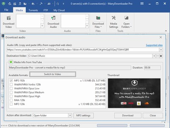 ManyDownloader screenshot