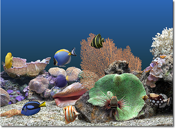 Marine Aquarium screenshot