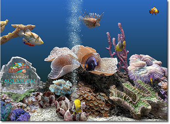 Marine Aquarium screenshot 2